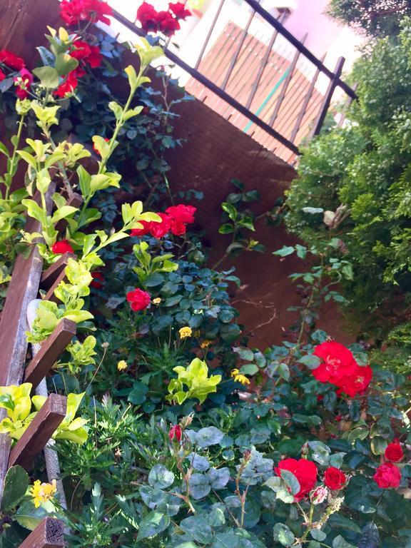 B&B Limone San Leone Dış mekan fotoğraf